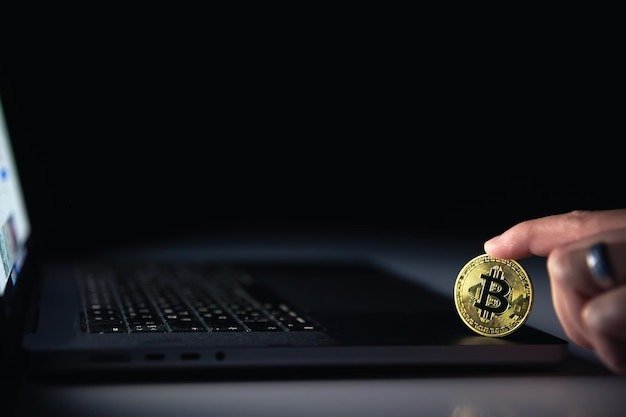 Maximizing Profits: Diversifying Your Trading Wallets